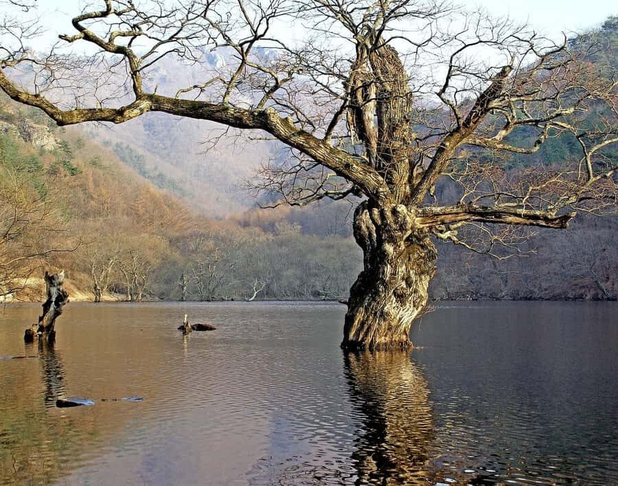 From Andong: Cheongsong Juwangsan Mt. UNESCO Geopark Hike - Why this tour offers real value