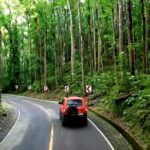 From Cebu: Bohol Countryside & Buffet Lunch Exclusive Tour - Whats the Value of This Tour?