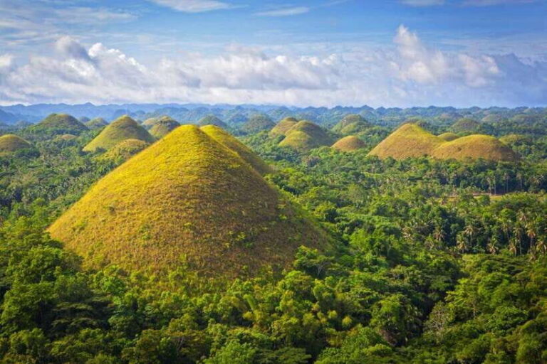 From Cebu City: Bohol Island Highlights in One Day - Who Is This Tour Best Suited For?