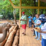 From Colombo: Kandy and Pinnawala Orphanage Short Excursions - Craft Demonstrations and Shopping