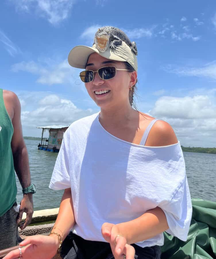 From Colombo/Negombo: Galle, Madu River, and Turtle Hatchery - Who Will Love This Tour?