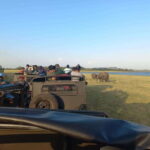 From Dambulla: Minneriya National Park wild Jeep Safari - Detailed Breakdown of the Itinerary