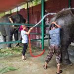 From Delhi: Taj Mahal, Fort Tour W/ Elephant Conservation - Exploring Agra Fort