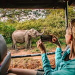 From Ella:Shuttle to Tangalle/Mirissa/Galle with Yala Safari Tour - The Cost and Whats Included