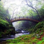From Fukuoka: Miyazaki, Takachiho Gorge and Shrines Day tour - The Value of This Tour