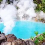 From Fukuoka: Yufuin, Beppu, Wildlife Park & Onsen Day Trip - Deep Dive: Why This Tour Works for You