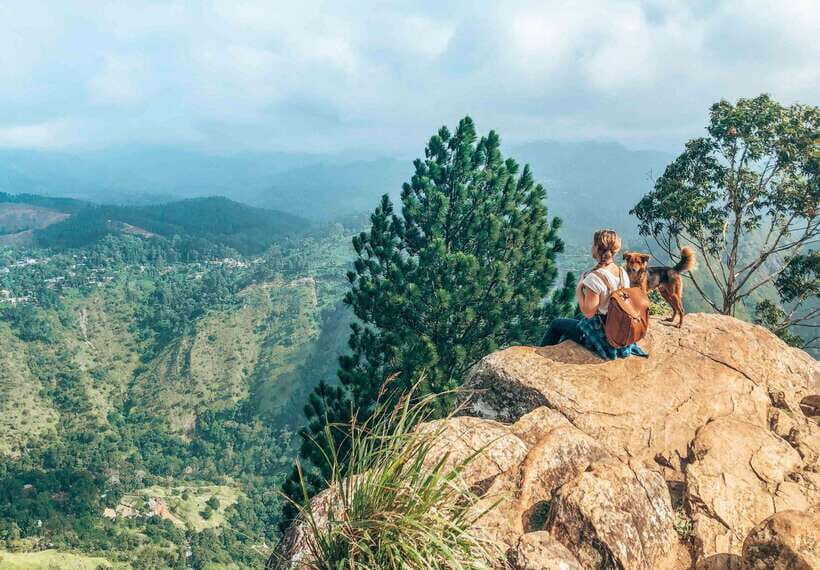 From Galle/Hikkaduwa/Mirissa: Day Trip to Experience Ella - Practical Details and What It Means for You