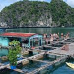 From Hanoi: 2 Days Adventure in the National Park and Lan Ha Bay - Transportation, Costs, and What You Get for Your Money