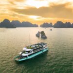 From Hanoi: Ha Long Bay Luxury Day Cruise with Food & Kayak - Exploring Ha Long Bay’s Highlights
