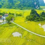 From Hanoi: Scenic Ninh Binh Motorbike Tour to Hidden Treasures - Who Will Love This Tour?
