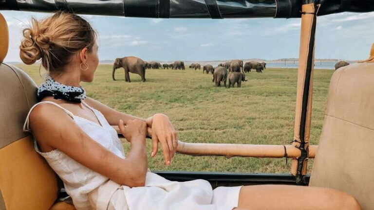 From Hikkaduwa/Galle/Weligama/Mirissa: Udawalawa Safari Tour - The Experience: What You’ll Likely Encounter
