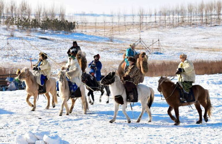 From Hohhot: 8-Day Inner Mongolia Private Tour to Ordos - Practical Considerations and Value