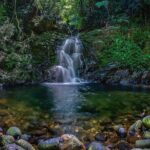 From Hue : Bach Ma National Park Trekking Adventure-Small Group - Practical Details and What to Expect