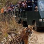From Jaipur: Private Ranthambore Park Trip with Tiger Safari - Who Should Consider This Tour?