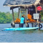 From Kalutara: Exclusive Madu River Safari & Turtle Hatchery - Why This Tour Works Well