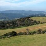 From Kandy: Moon Plains Highlands Viewpoint Experience - Transportation and Group Size