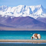 From Kathmandu: 8-Day Tibet Tour with Everest Base Camp - FAQs