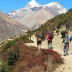 From Kathmandu/Pokhara: 9-Day Annapurna Circuit Trek - Day-by-Day Breakdown of the Trek
