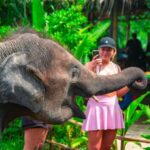 From Koh Samui: Elephant Sanctuary & Jungle Adventure Tour - What Makes This Tour Special