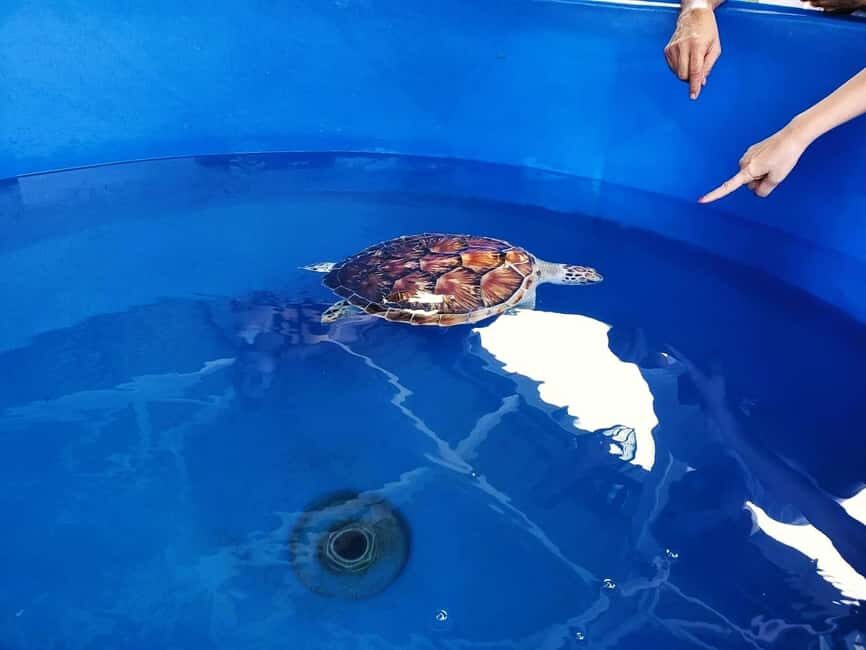 From Kuala Lumpur: Port Dickson Tour with Dragon Cruise - Exploring Port Dickson: What You Can Expect