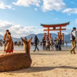 From Kyoto: Hiroshima and Miyajima Day Trip by bullet train - Who Will Love This Tour?