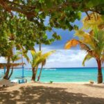 From miches: Isla Catalina Snorkeling Tour with Lunch - Whats Included & What to Consider