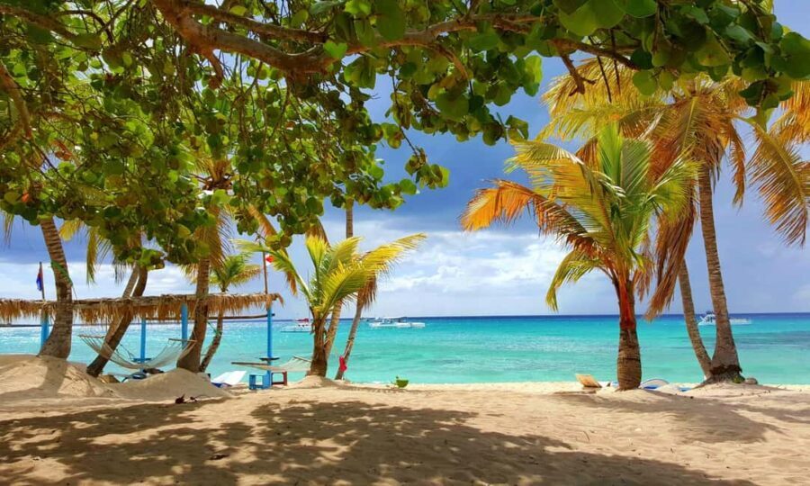 From miches: Isla Catalina Snorkeling Tour with Lunch - Whats Included & What to Consider