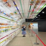 From Nagoya: Osaka Park, Katsuo-ji Temple, & Falls Tour - Final Thoughts on Value and Suitability