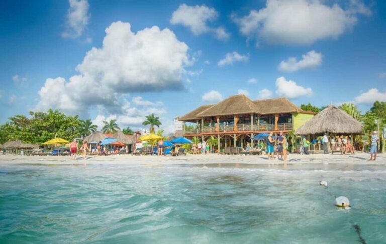 From Negril/Palladium: Negril Beach and Ricks Cafe Tour - A Deep Dive into the Tour