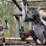 From Ninh Binh to Cuc Phuong National Park, Trekking and Jungle - An In-Depth Look at the Itinerary