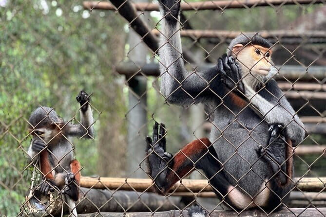 From Ninh Binh to Cuc Phuong National Park, Trekking and Jungle - An In-Depth Look at the Itinerary