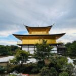 From Osaka/Kyoto: Kyoto & Nara Day Customised Sightseen Tour - What’s Included and What’s Not