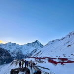 From Pokhara: 7-Day Annapurna Base Camp and Chitwan Tour - What Makes This Tour Stand Out