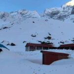 From Pokhara: A 7-Day Trek to the Heart of the Himalayas - What Makes This Trek Great for Travelers