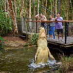 From Port Douglas: Hartley's Crocodile Park, Skyrail & Train - Who Would Love This Tour?