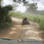 From Punta Cana or La Romana: Sugarcane Fields Buggy or Quad - An In-Depth Look at the Sugarcane Fields Buggy or Quad Tour
