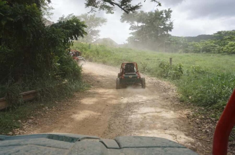 From Punta Cana or La Romana: Sugarcane Fields Buggy or Quad - An In-Depth Look at the Sugarcane Fields Buggy or Quad Tour