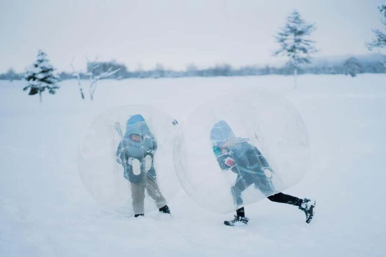 From Sapporo: Otaru & Bibai Snowland Guided Day Tour - Who Is This Tour Best For?
