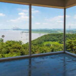 From Seoul: Aegibong Starbucks Observatory & DMZ View - What’s Included and What to Consider