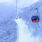 From Seoul: Balwangsan Cable Car and Daegwallyeong Ranch - Walking the Snow Blossom Trail: A Fairy Tale in Frost