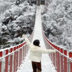 From Seoul: Romantic Winter Wonderland Tour - The Sum Up