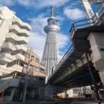 From Shizuoka: Tokyo Private Full-Day Tour with Driver - Who This Tour Is Best For