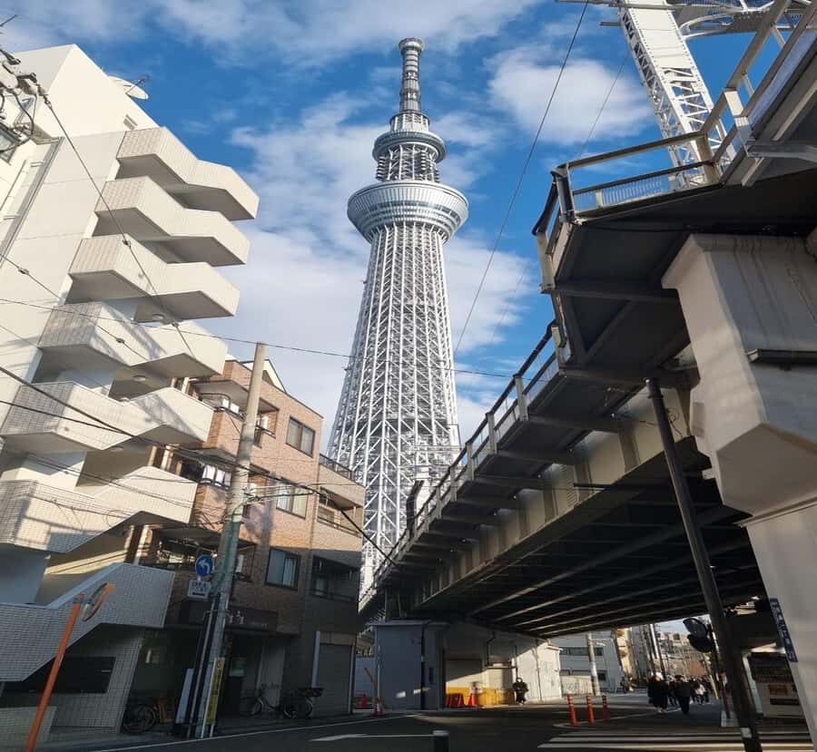 From Shizuoka: Tokyo Private Full-Day Tour with Driver - Who This Tour Is Best For