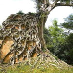 From Siem Reap: Sambor Prei Kuk and Kompong Kdei Day Trip - Exploring the Day Trip: From Siem Reap to Kampong Thom