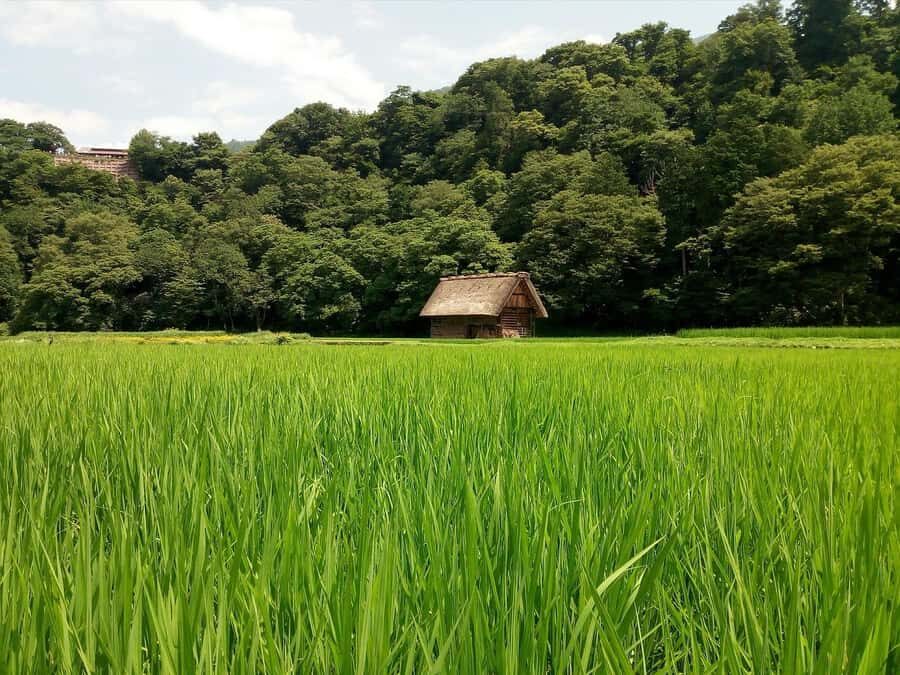 From Tokyo: Day Trip to Shirakawago & Kanazawa - Transport & Duration: What You Need to Know