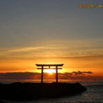 From Tokyo: Hitachi seaside Park & Oarai Isosaki Shrine Tour - The Experience of the Day