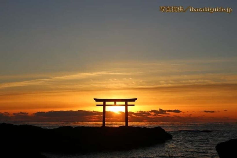 From Tokyo: Hitachi seaside Park & Oarai Isosaki Shrine Tour - The Experience of the Day