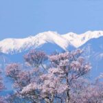 From Tokyo: Kawagoe Highlights & Karuizawa Resort Day Trip - The Charm of Kumoba Pond and Seasonal Scenery