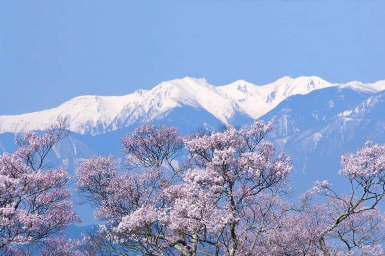 From Tokyo: Kawagoe Highlights & Karuizawa Resort Day Trip - The Charm of Kumoba Pond and Seasonal Scenery