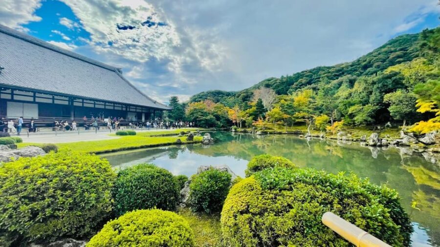 From Tokyo: Kyoto, Nara, and Osaka 3-Day Guided Tour - Who Will Love This Tour?